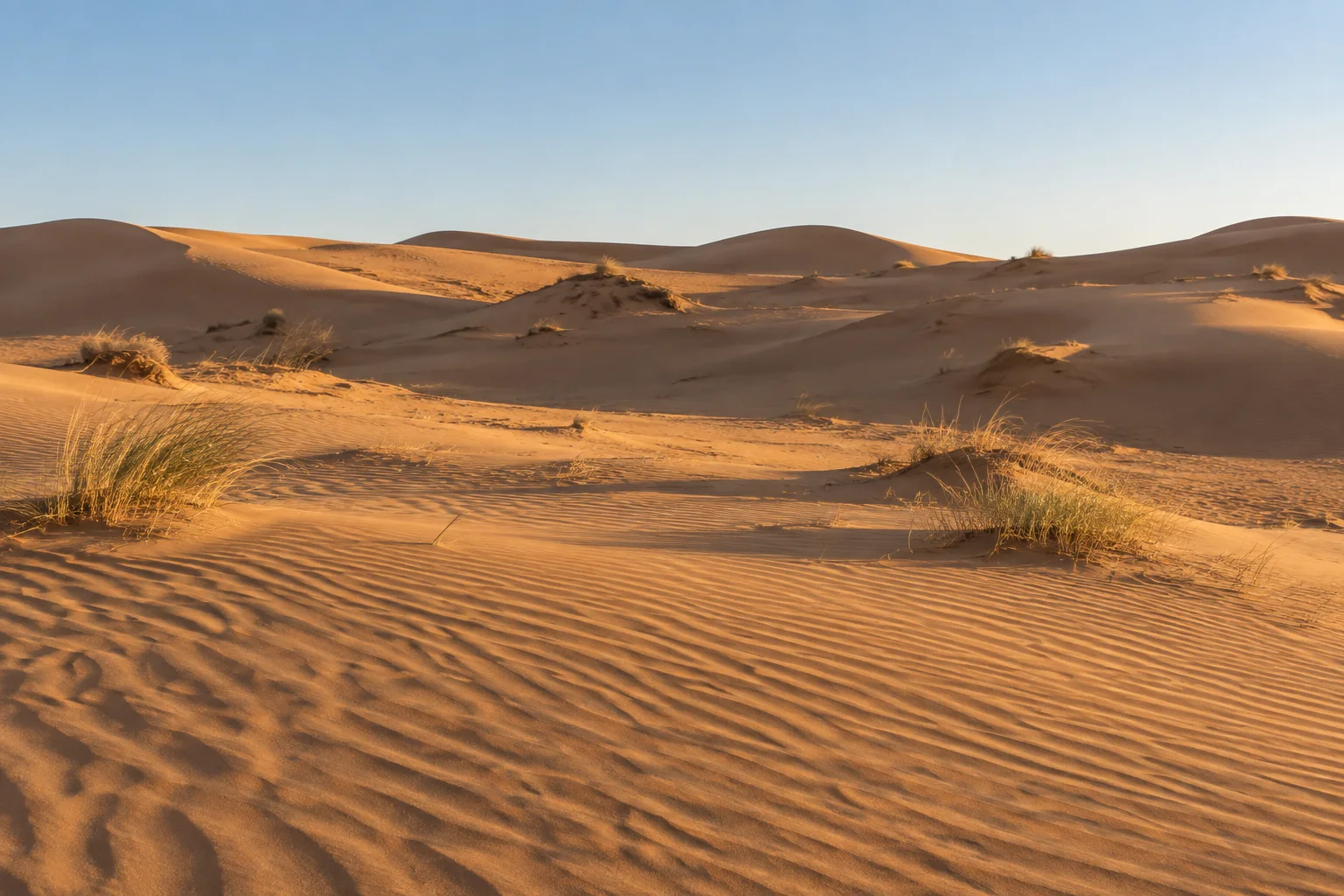 Golden sand dunes