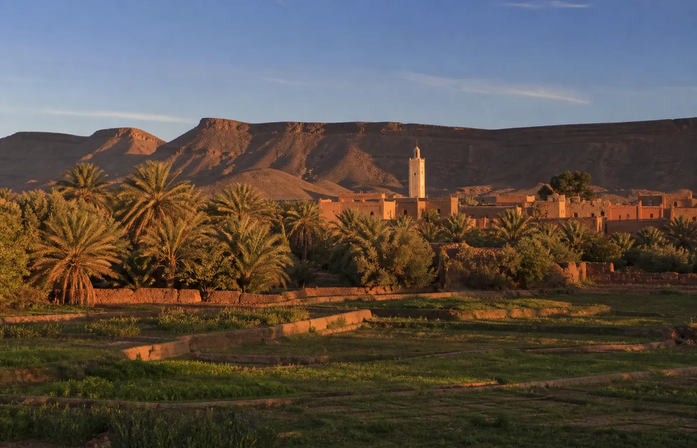 The palm grove of Foum Zguid with the dark ridge of Jbel Bani behind